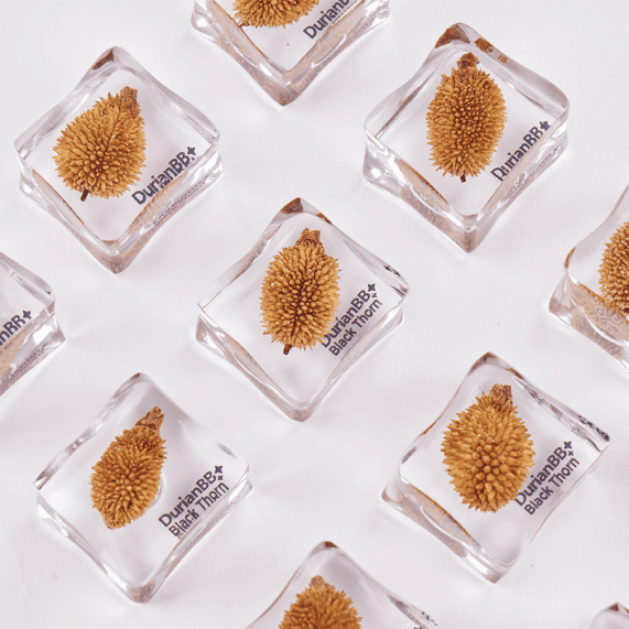 DurianBB Forever Frozen Cube